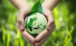 多宝网页版零碳（近零碳）发展战略和实施方案